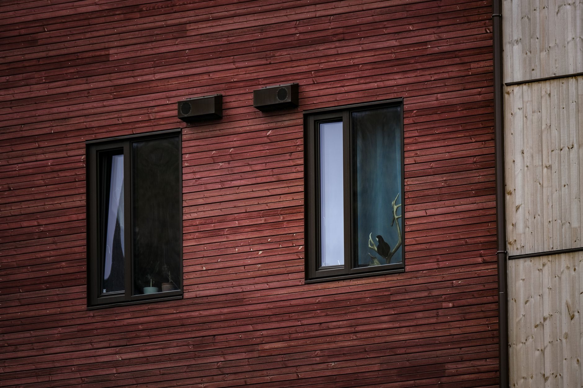 Why Redwood Siding Is a Smart Choice for Durable, Stylish Homes